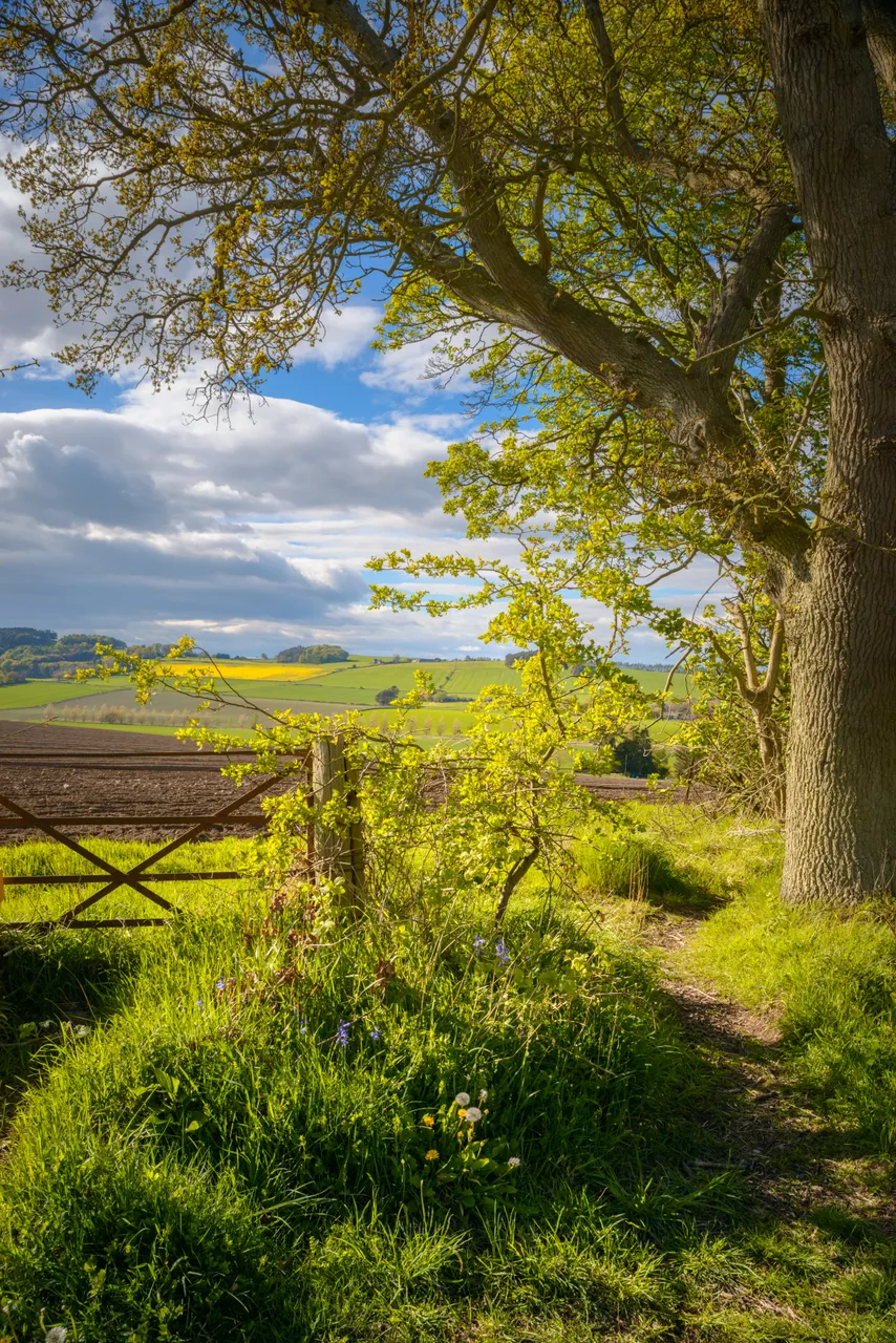 Countryside walks near Ceres