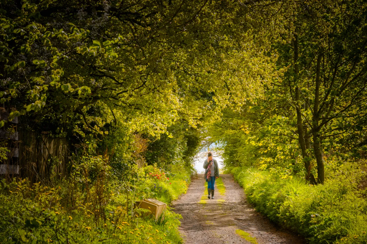 Countryside walks near Ceres