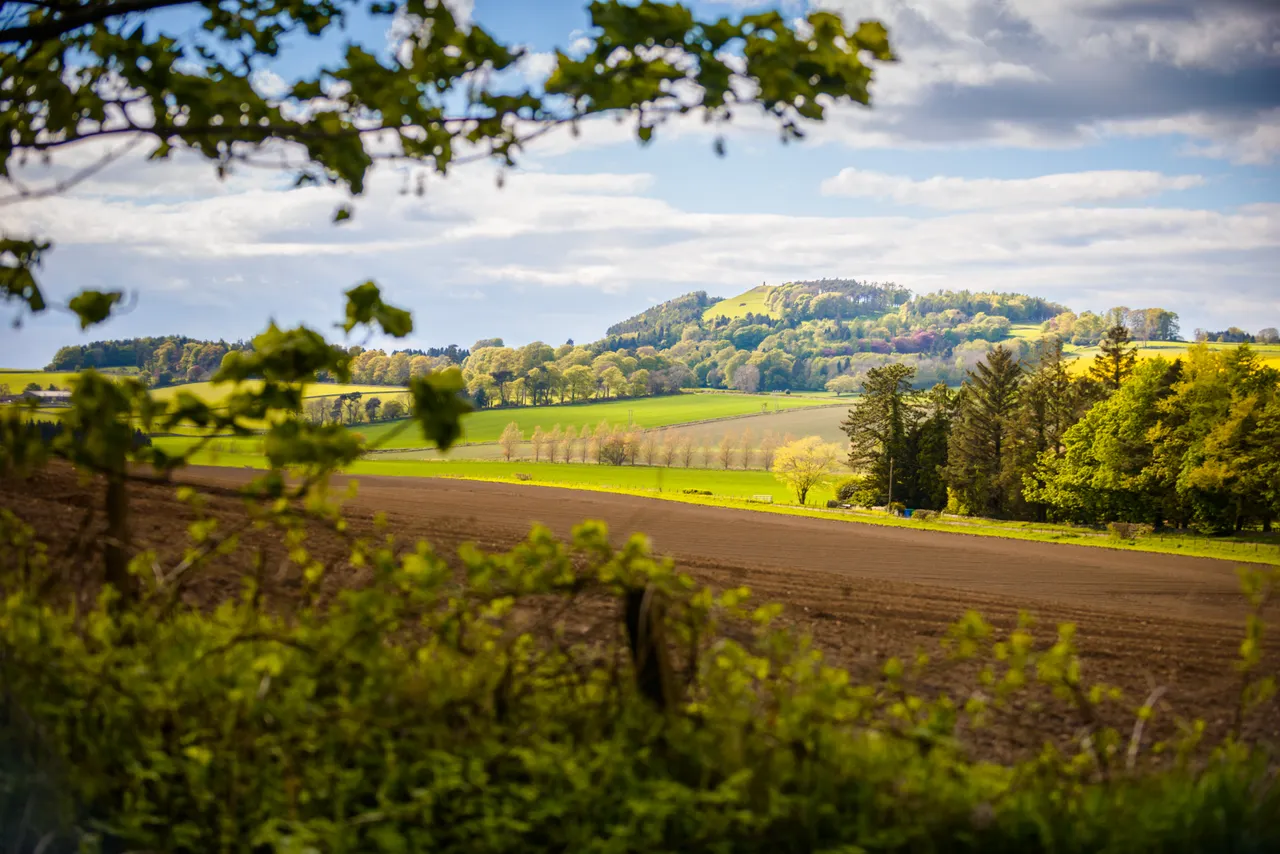 Countryside walks near Ceres