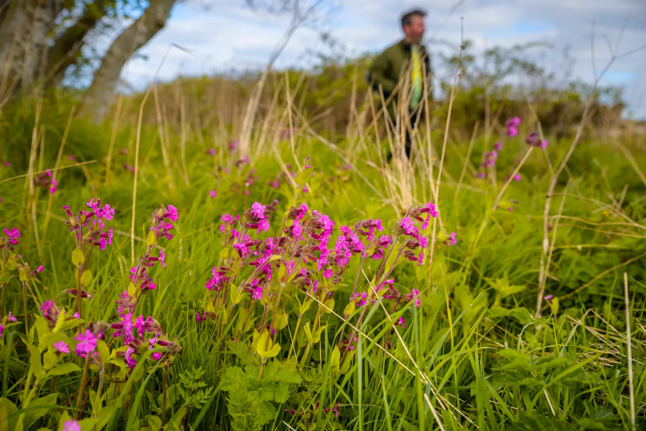Countryside walks near Ceres