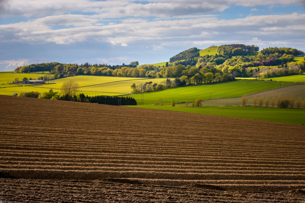 Countryside walks near Ceres