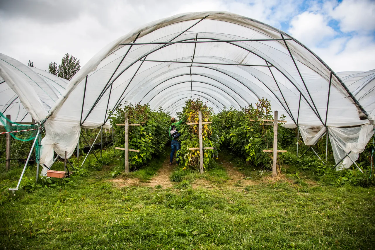 Craigies Fruit Farm