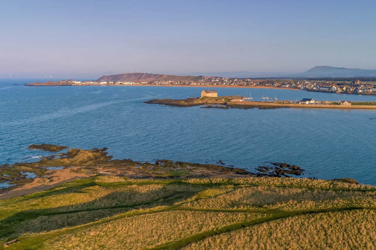 Elie
