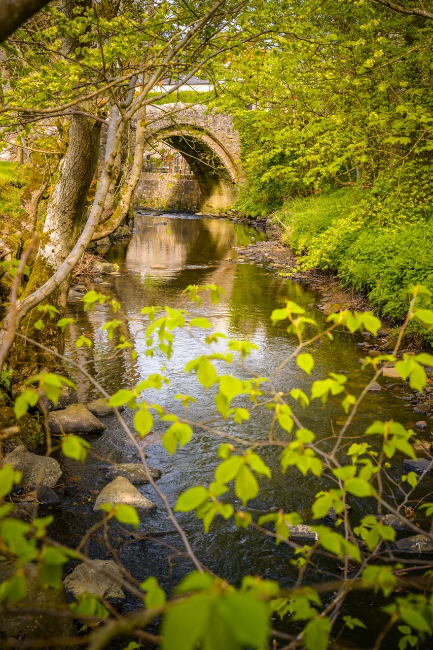 Bishop's Bridge