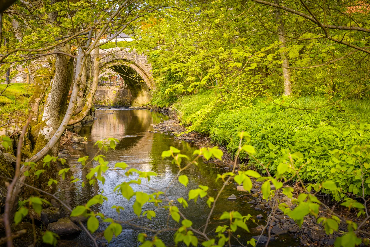 Bishop's Bridge