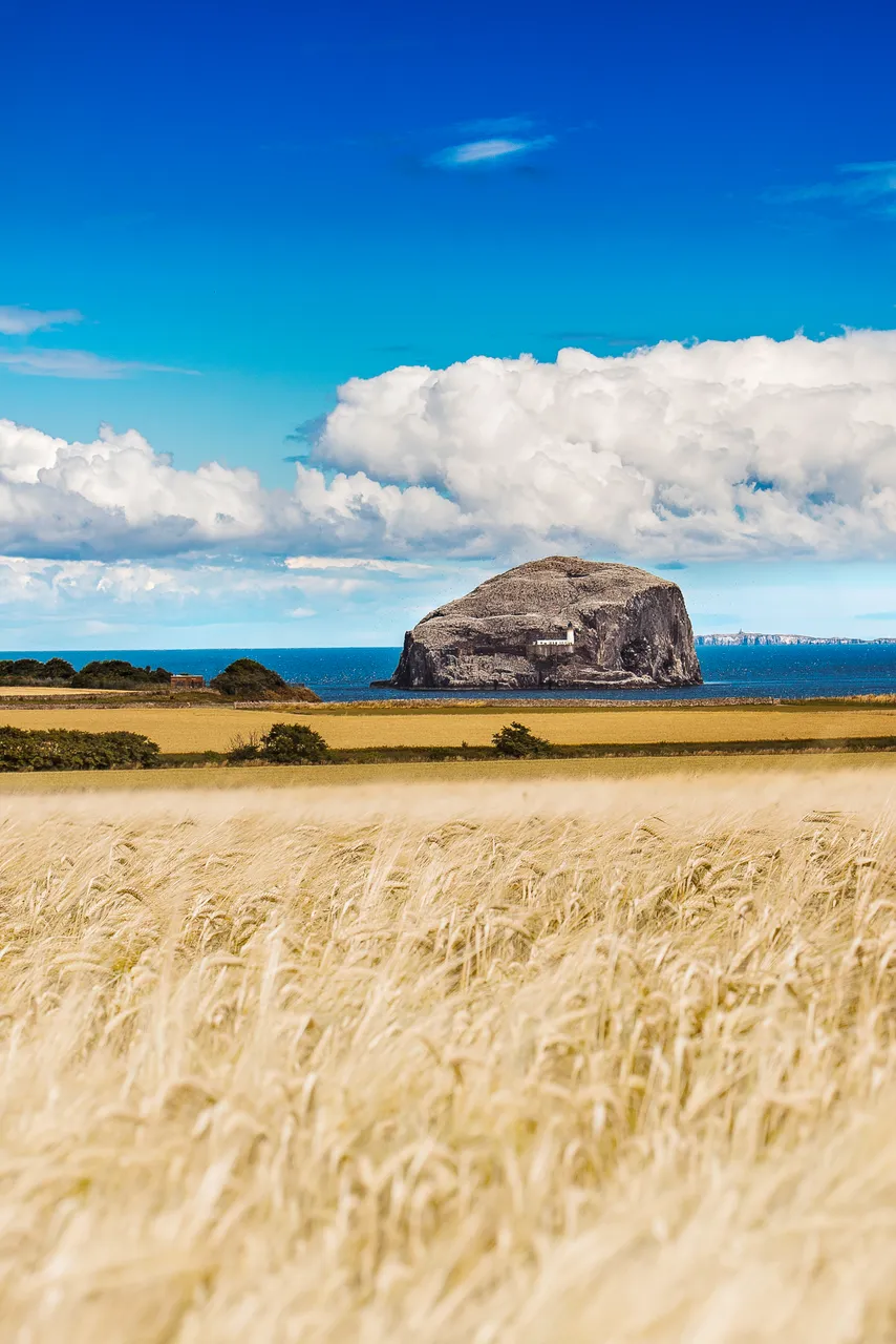 Bass Rock