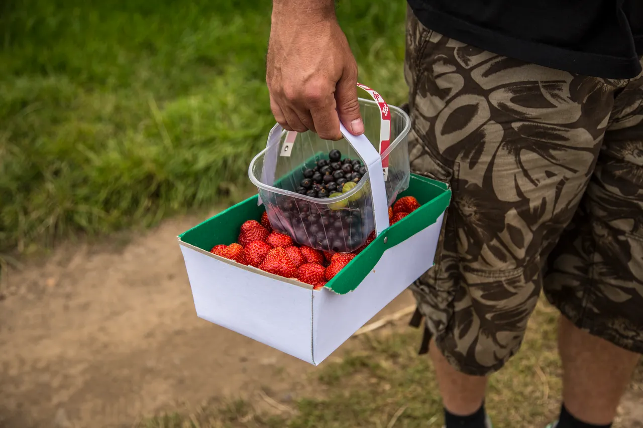 Craigies Fruit Farm