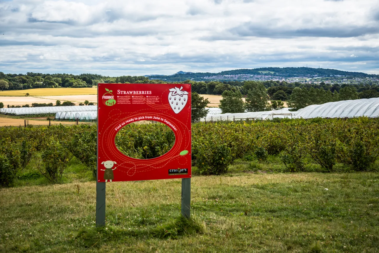 Craigies Fruit Farm