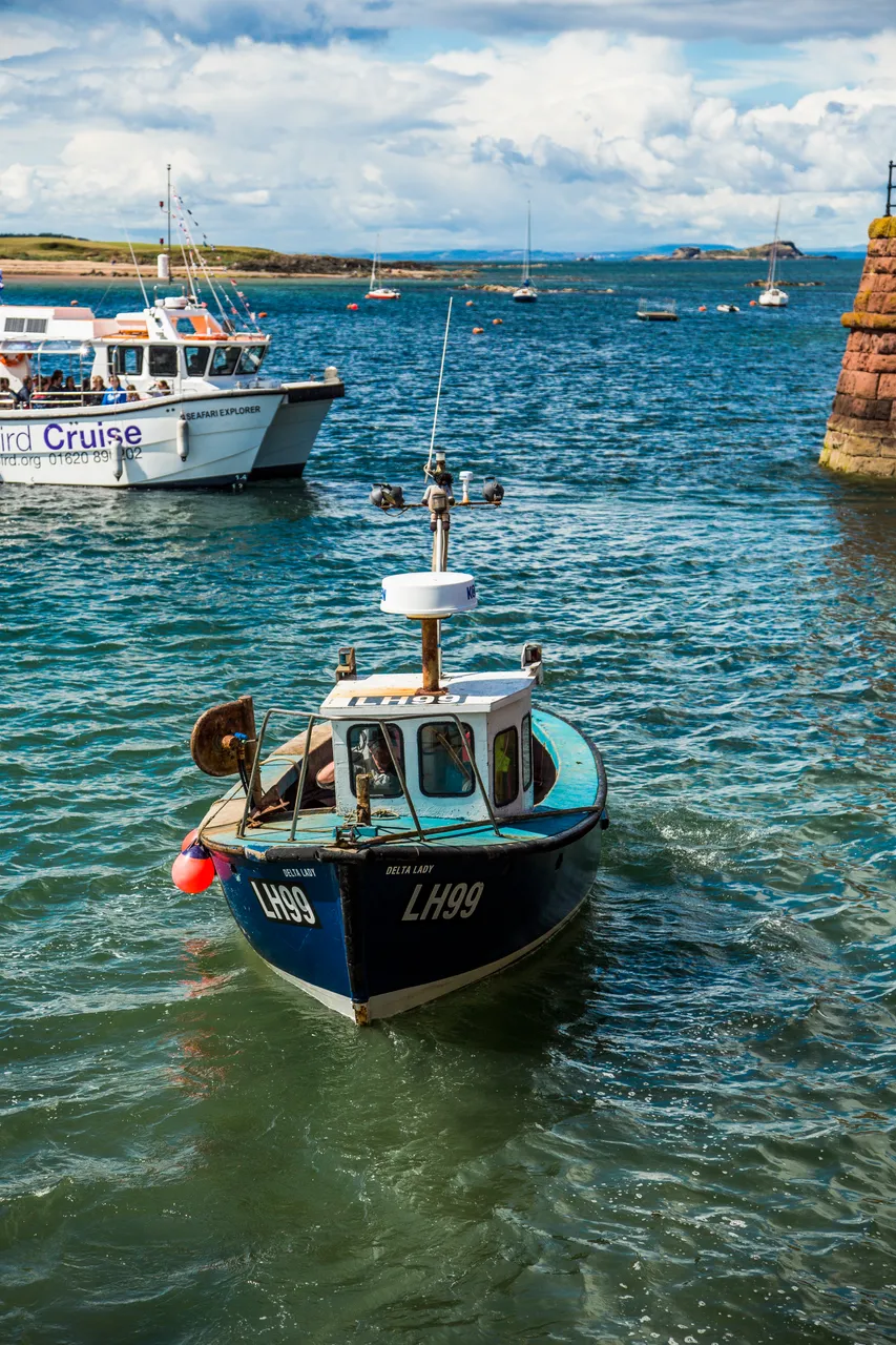 North Berwick harbour