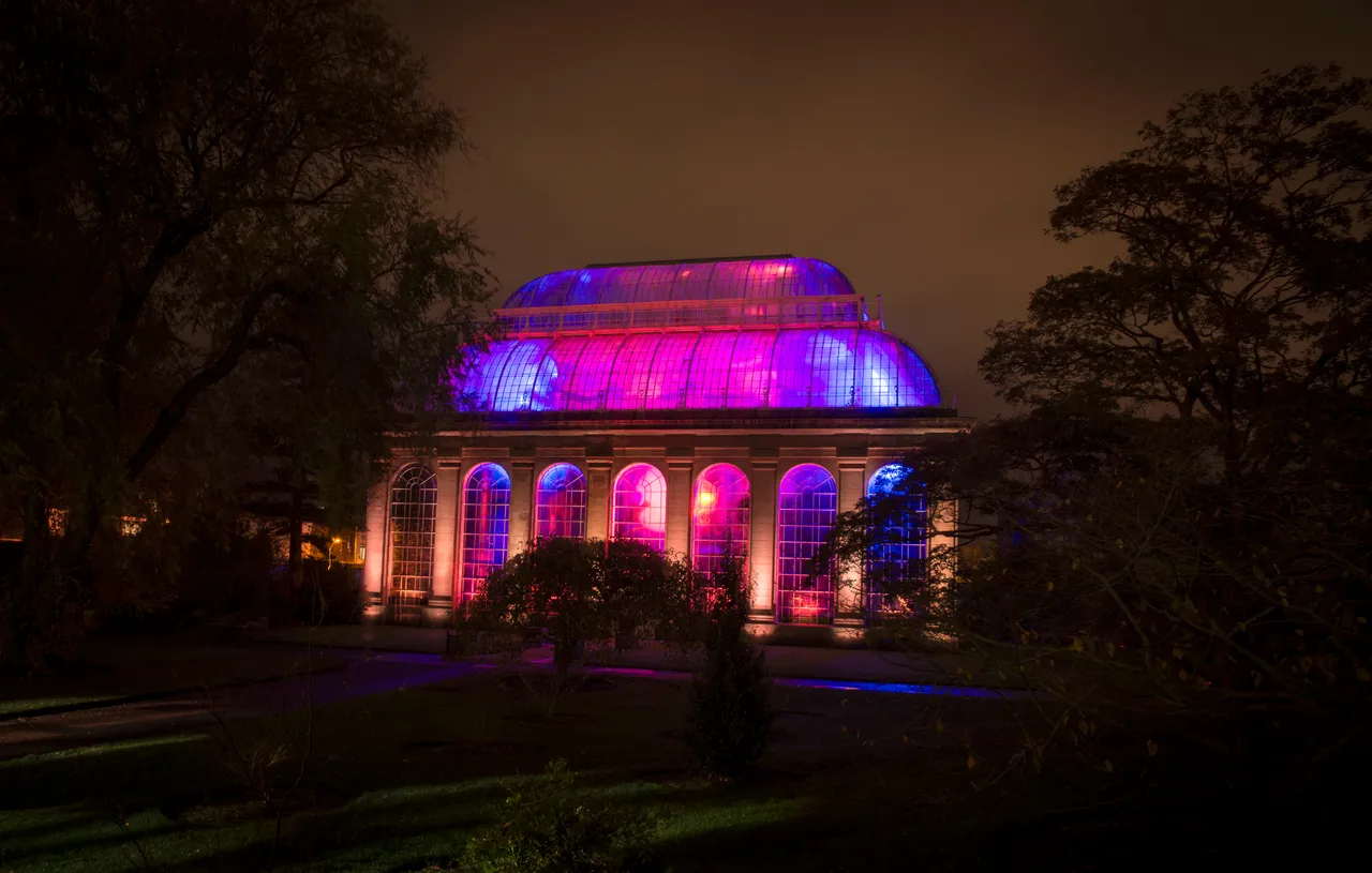 Botanic Lights: Night in the Garden