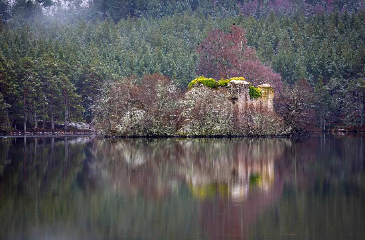 Rothiemurchus Forest