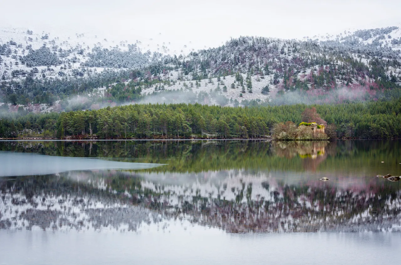 Rothiemurchus Forest