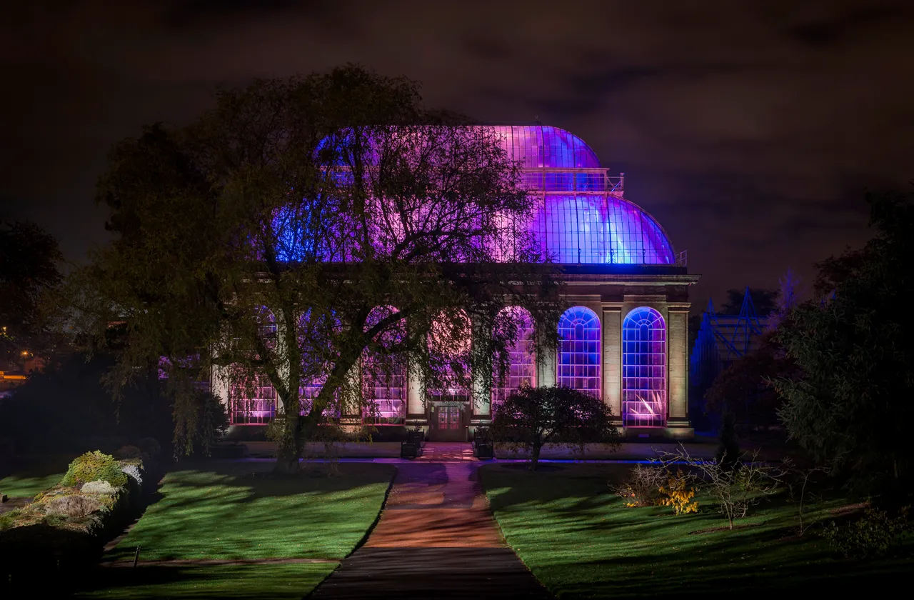 Botanic Lights: Night in the Garden