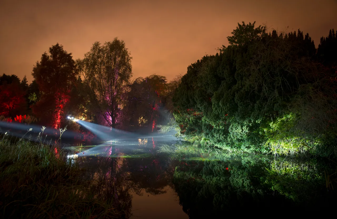 Botanic Lights: Night in the Garden