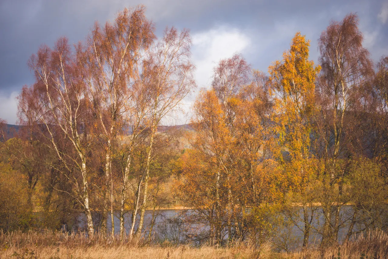 Gartmorn Dam