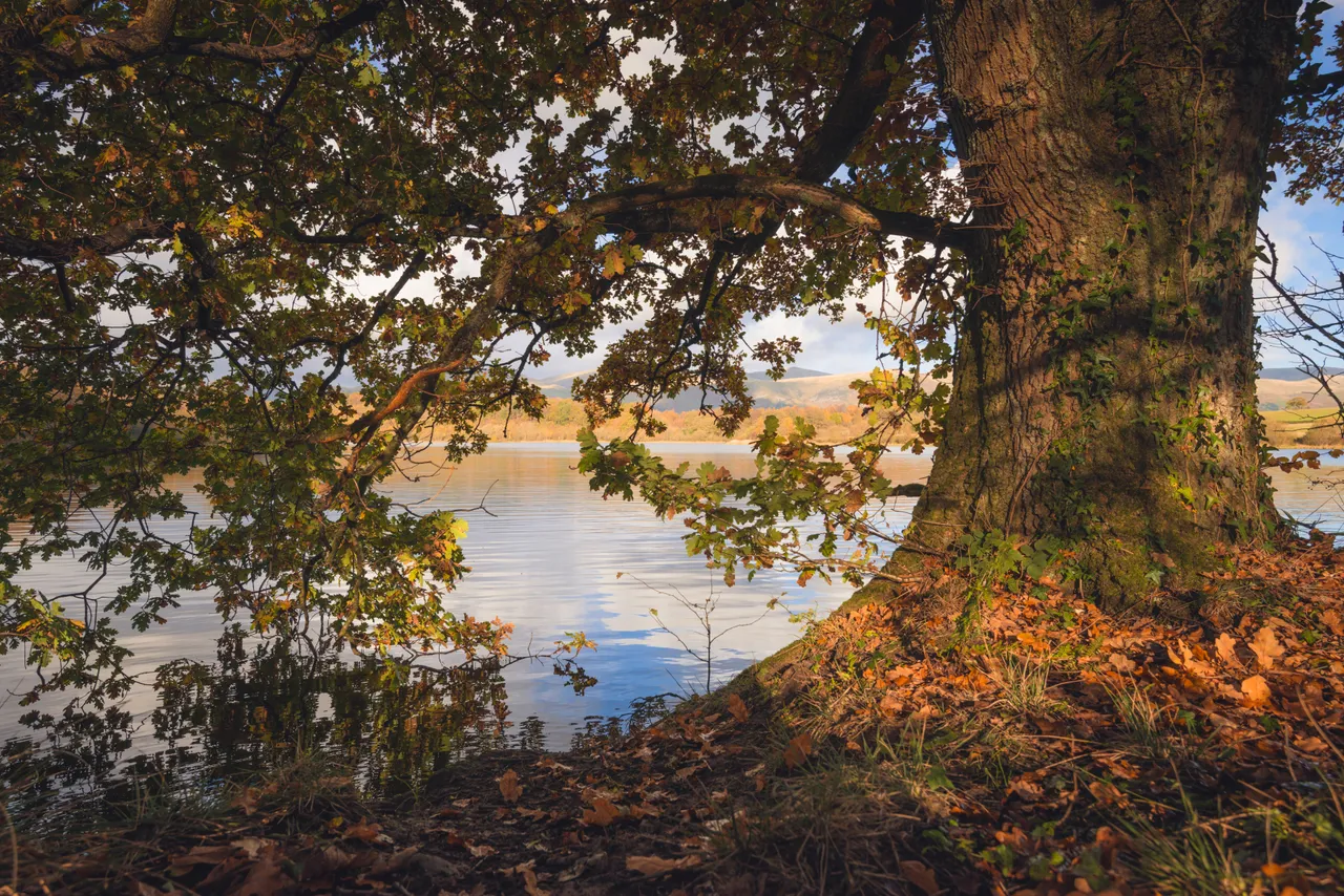 Gartmorn Dam