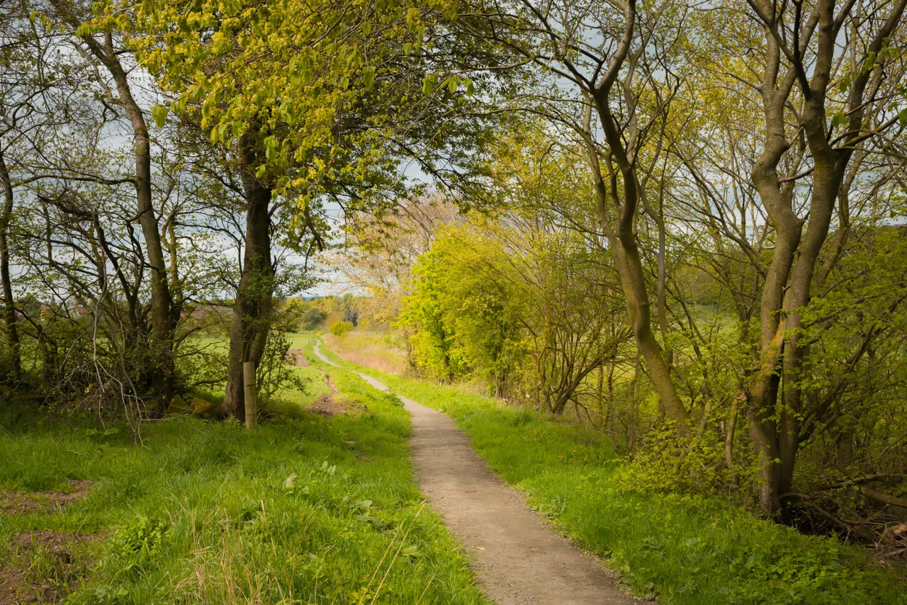 Markinch