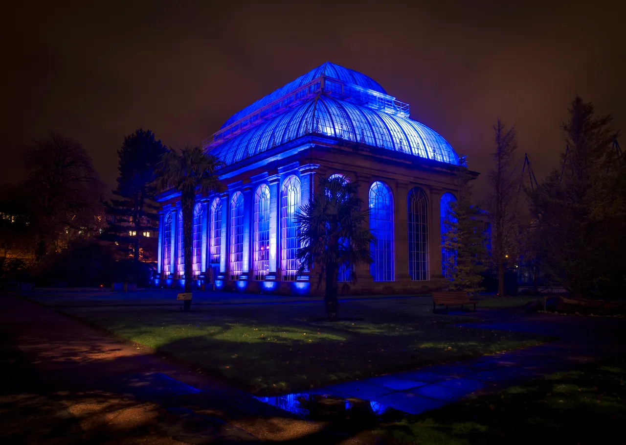 Botanic Lights: Night in the Garden