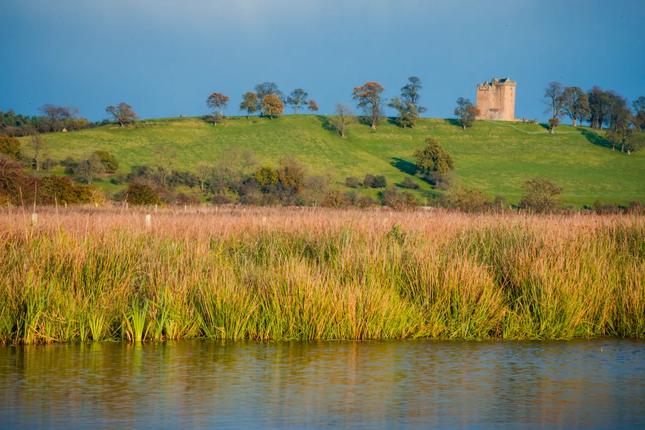 Black Devon Wetlands