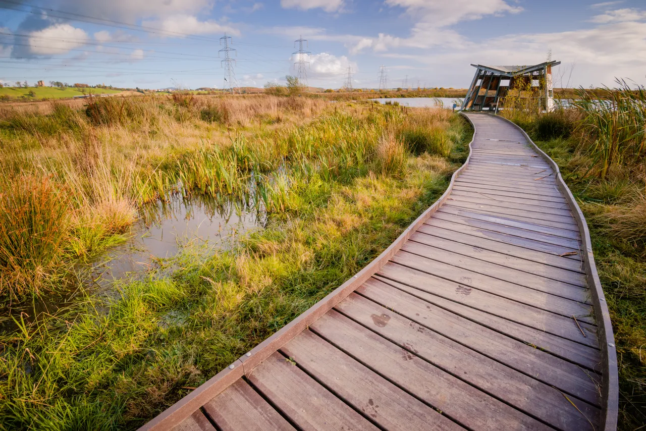 Black Devon Wetlands