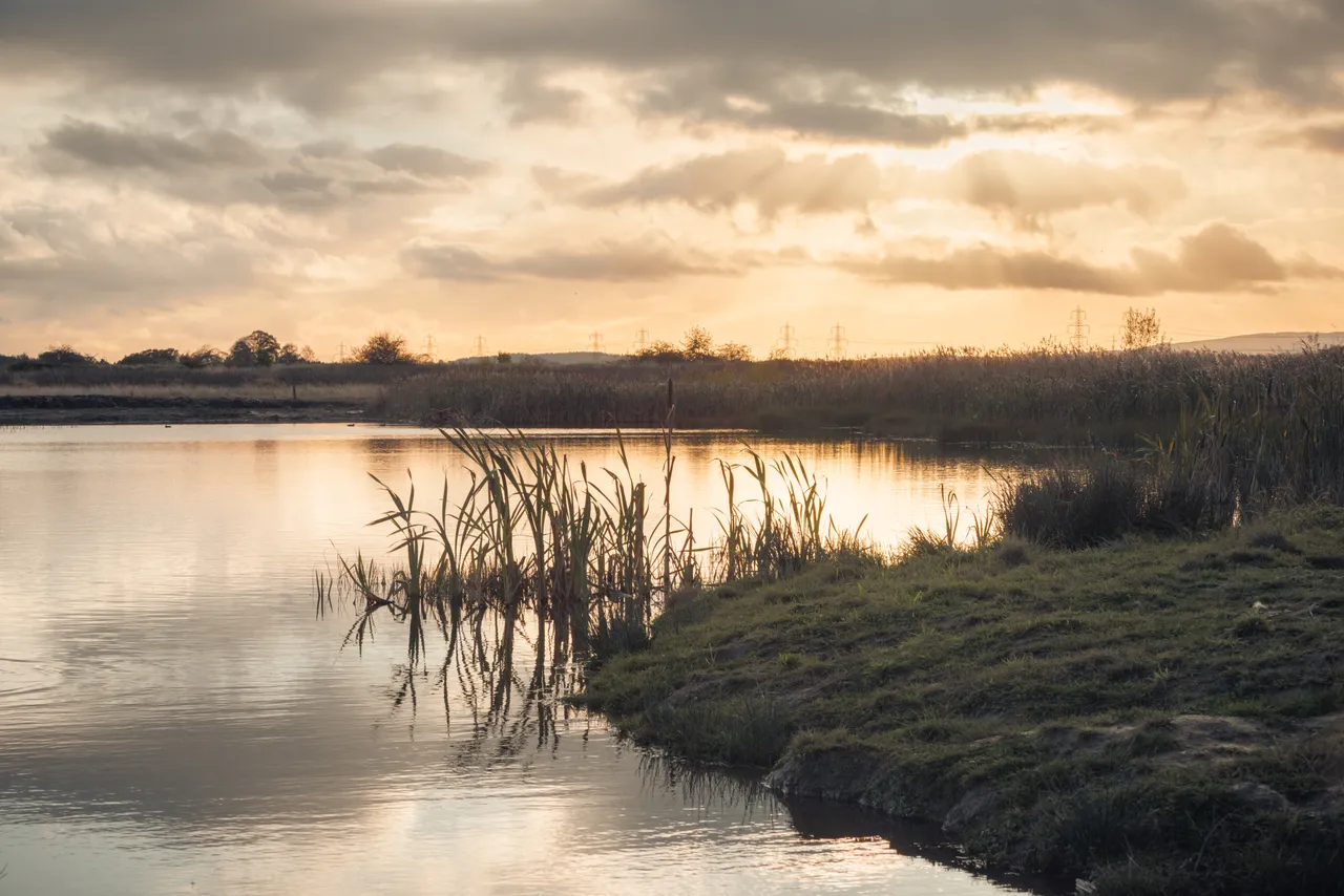 Black Devon Wetlands
