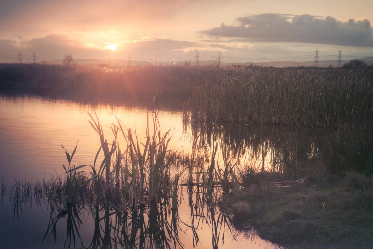 Black Devon Wetlands