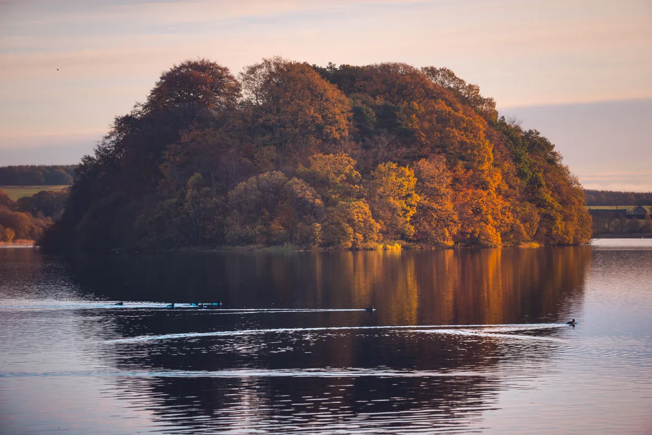 Gartmorn Dam
