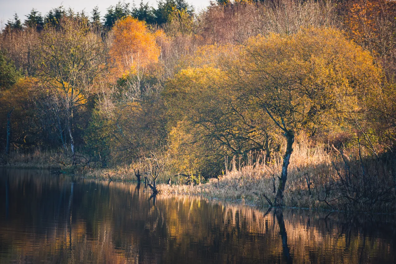 Gartmorn Dam