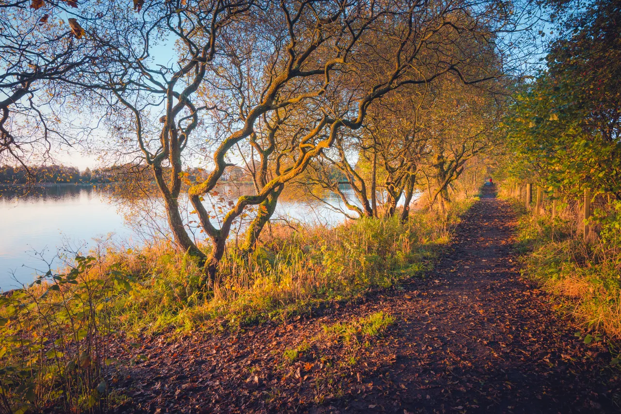 Gartmorn Dam