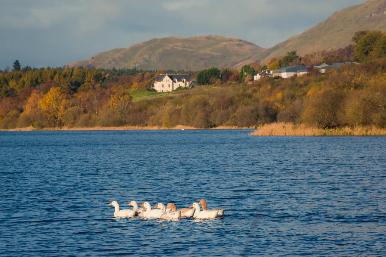 Gartmorn Dam