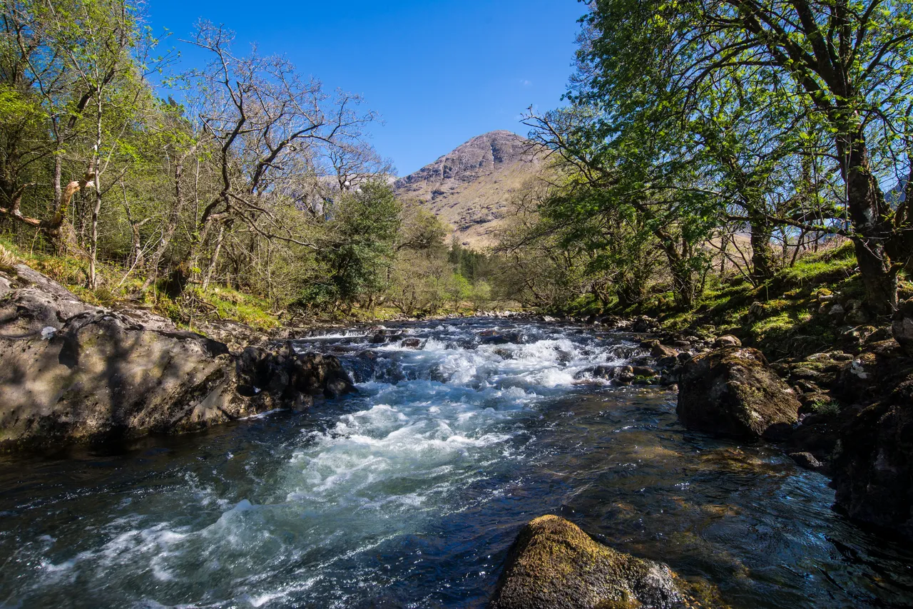 River Coe