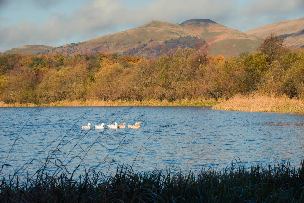 Gartmorn Dam