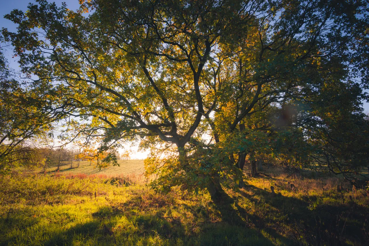 Gartmorn Dam