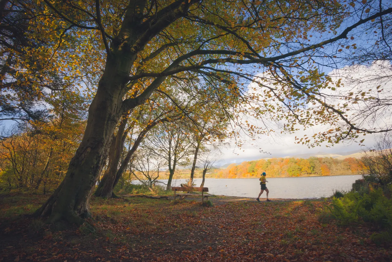 Gartmorn Dam