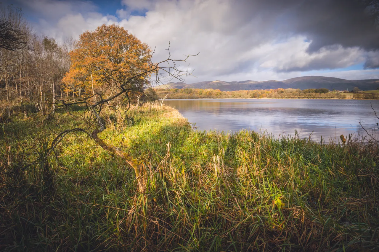 Gartmorn Dam