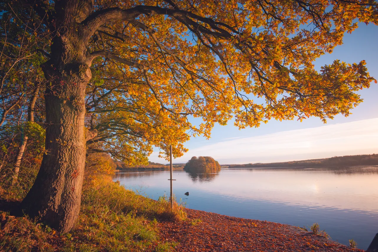 Gartmorn Dam