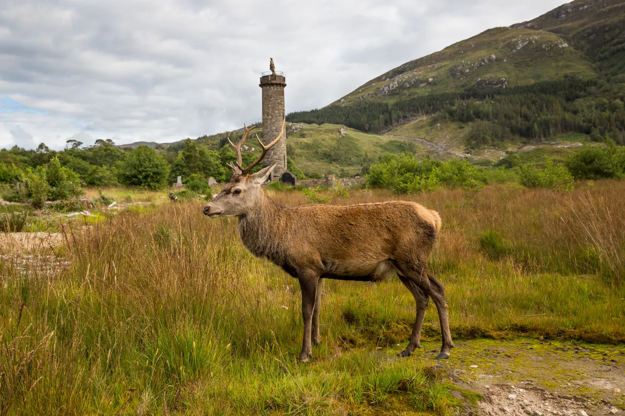 Glenfinnan Monument