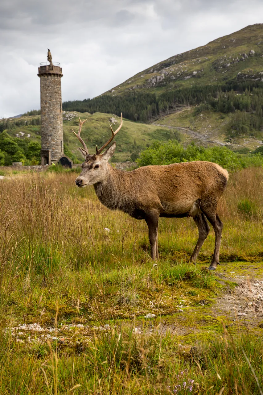 Glenfinnan Monument