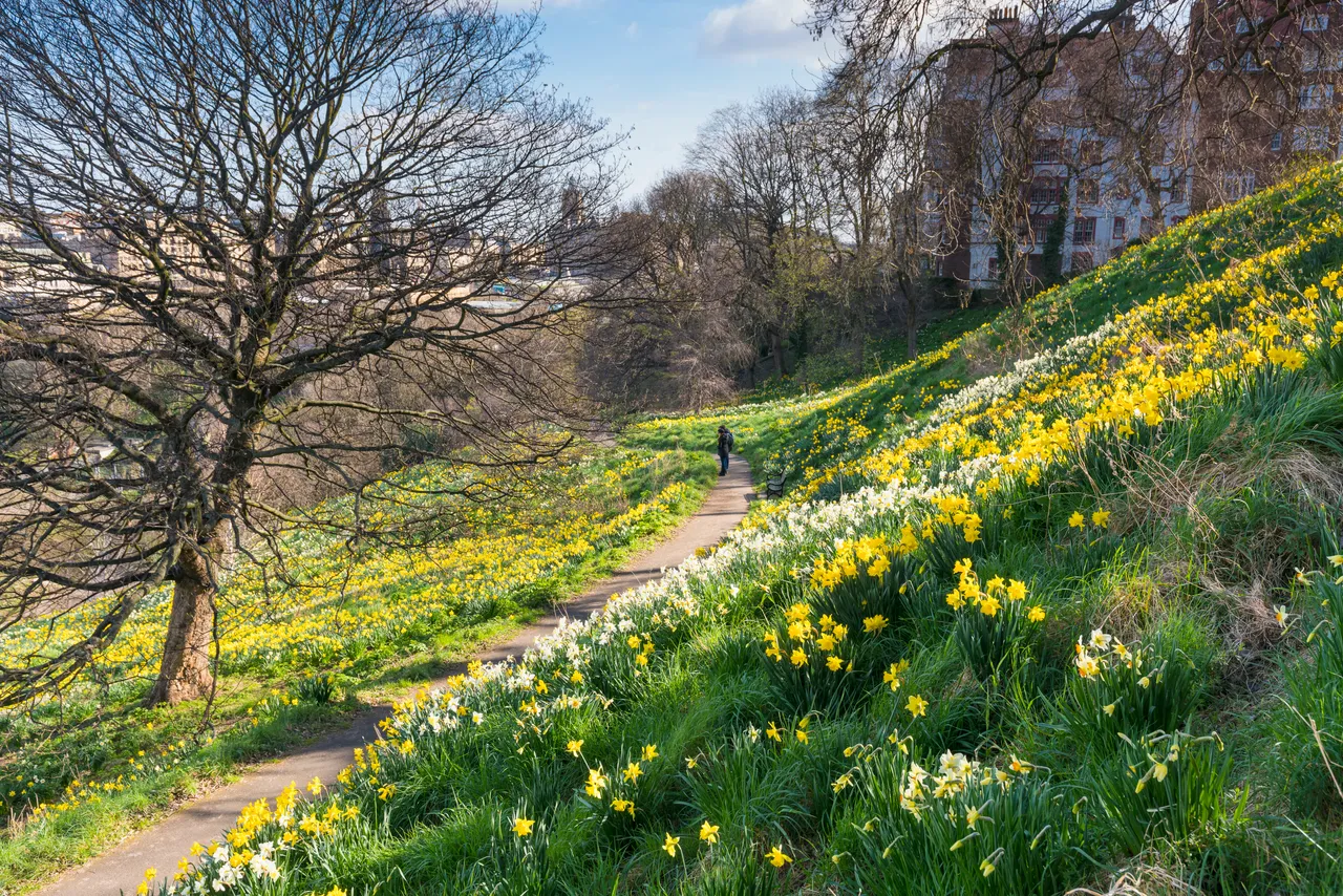Princes Street Gardens