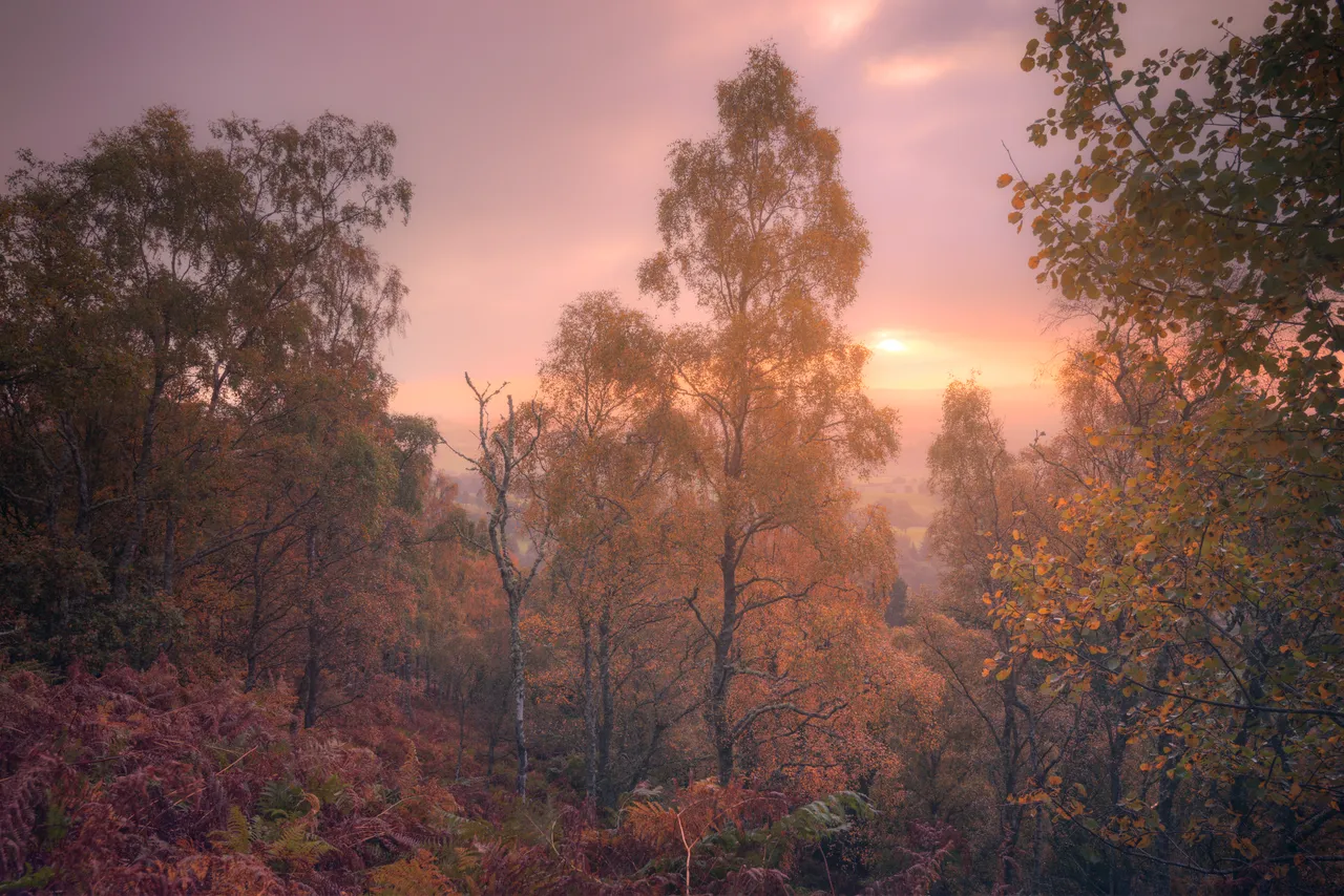 The Knock, Crieff Viewpoint