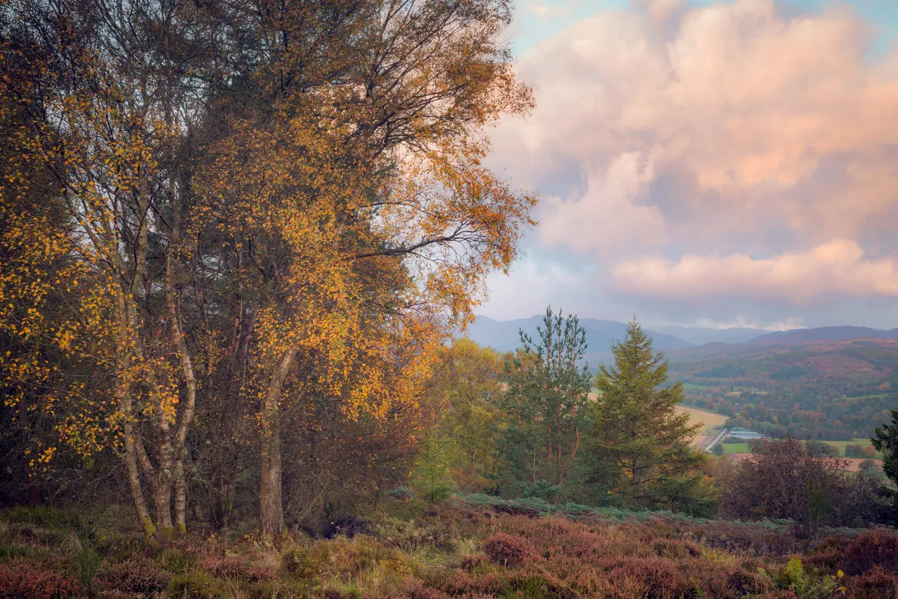 Strathearn Valley