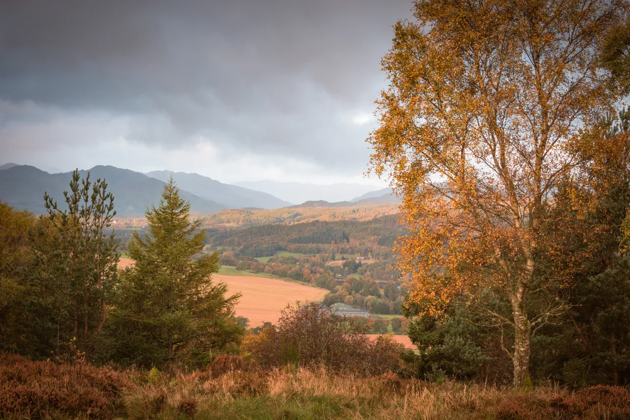 The Knock, Crieff Viewpoint