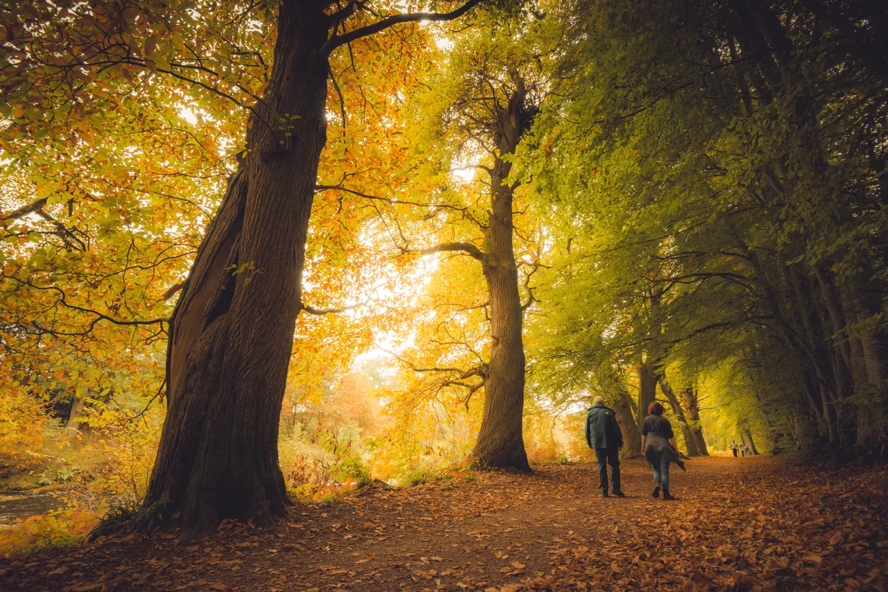 Lady Mary’s Walk