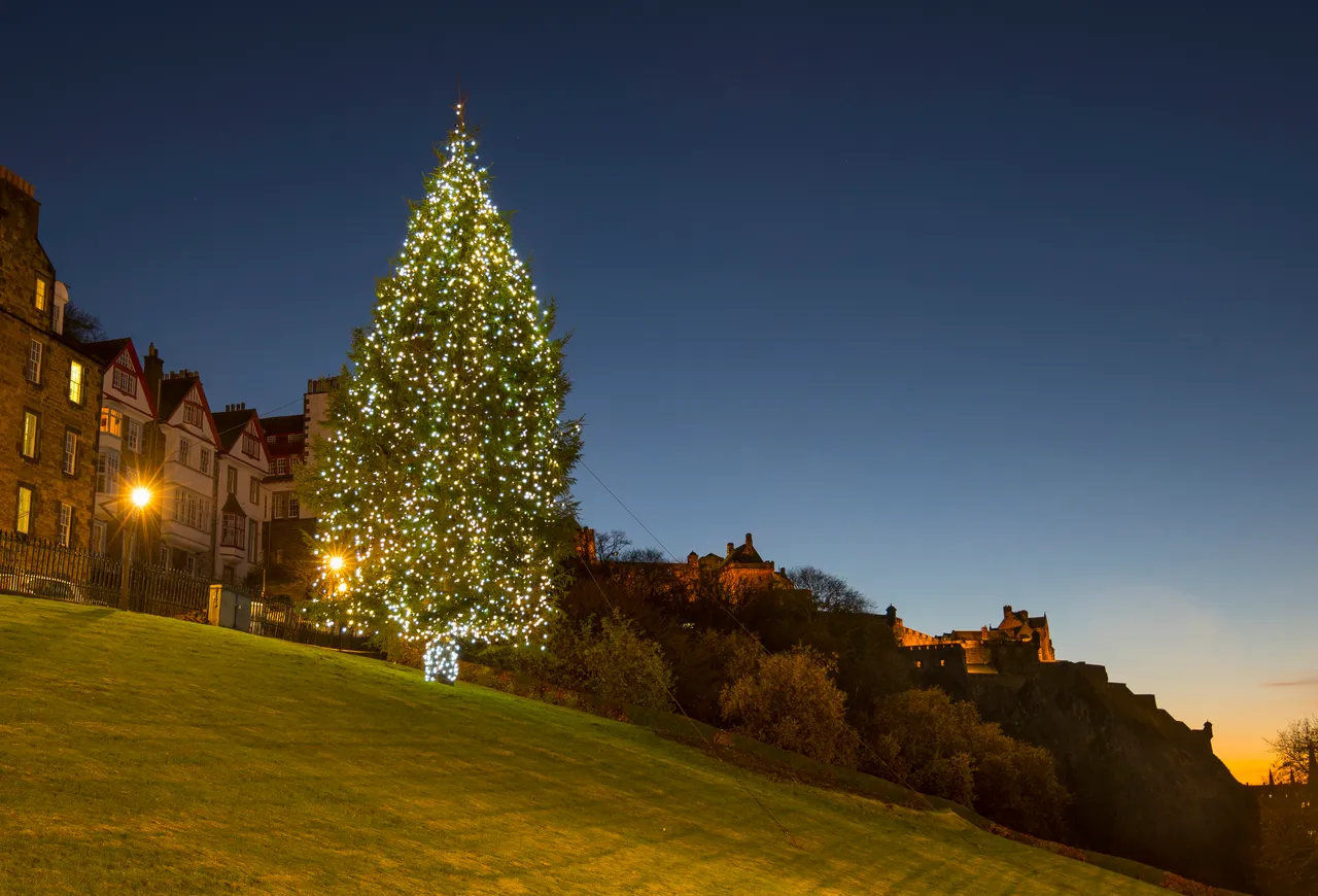 Edinburgh Christmas Tree