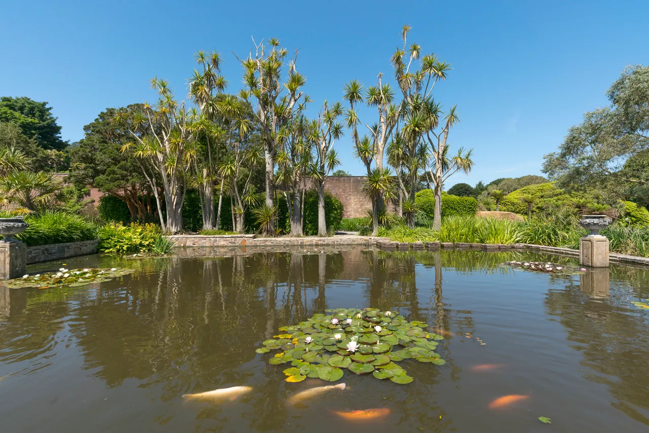 Logan Botanic Garden