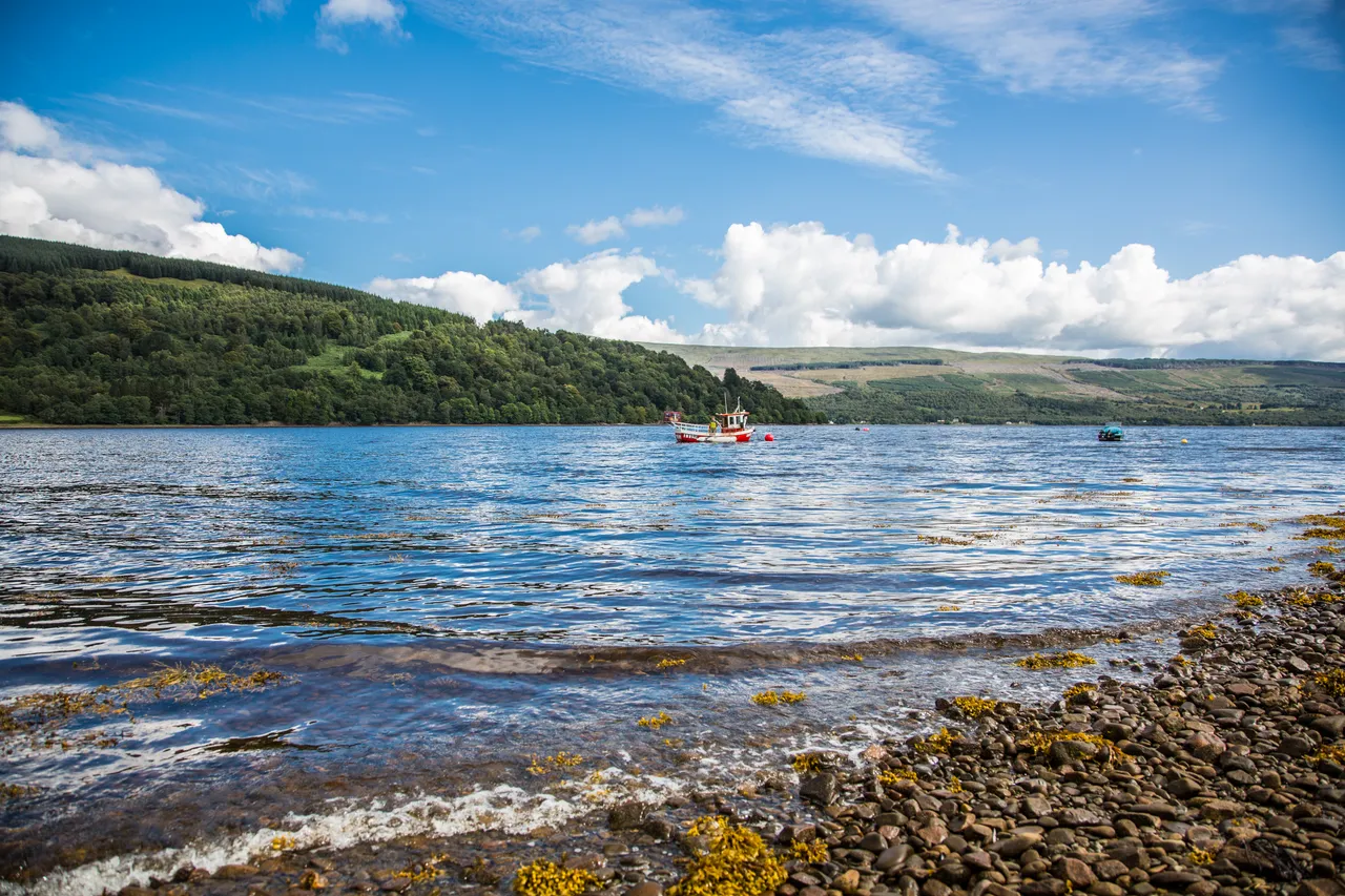 Loch Fyne Langoustines