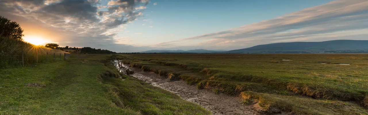 Wigtown Bay Local Nature Reserve