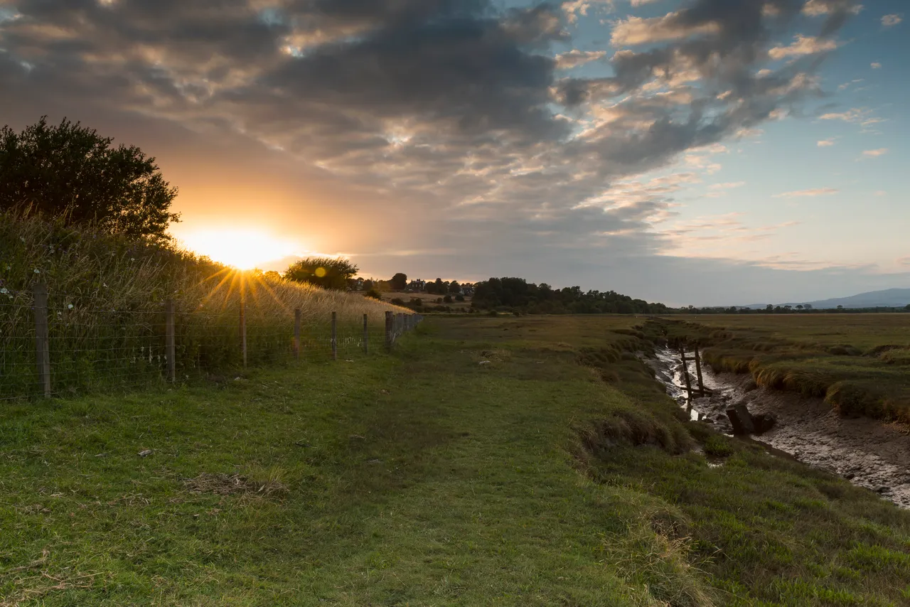 Wigtown Bay Local Nature Reserve