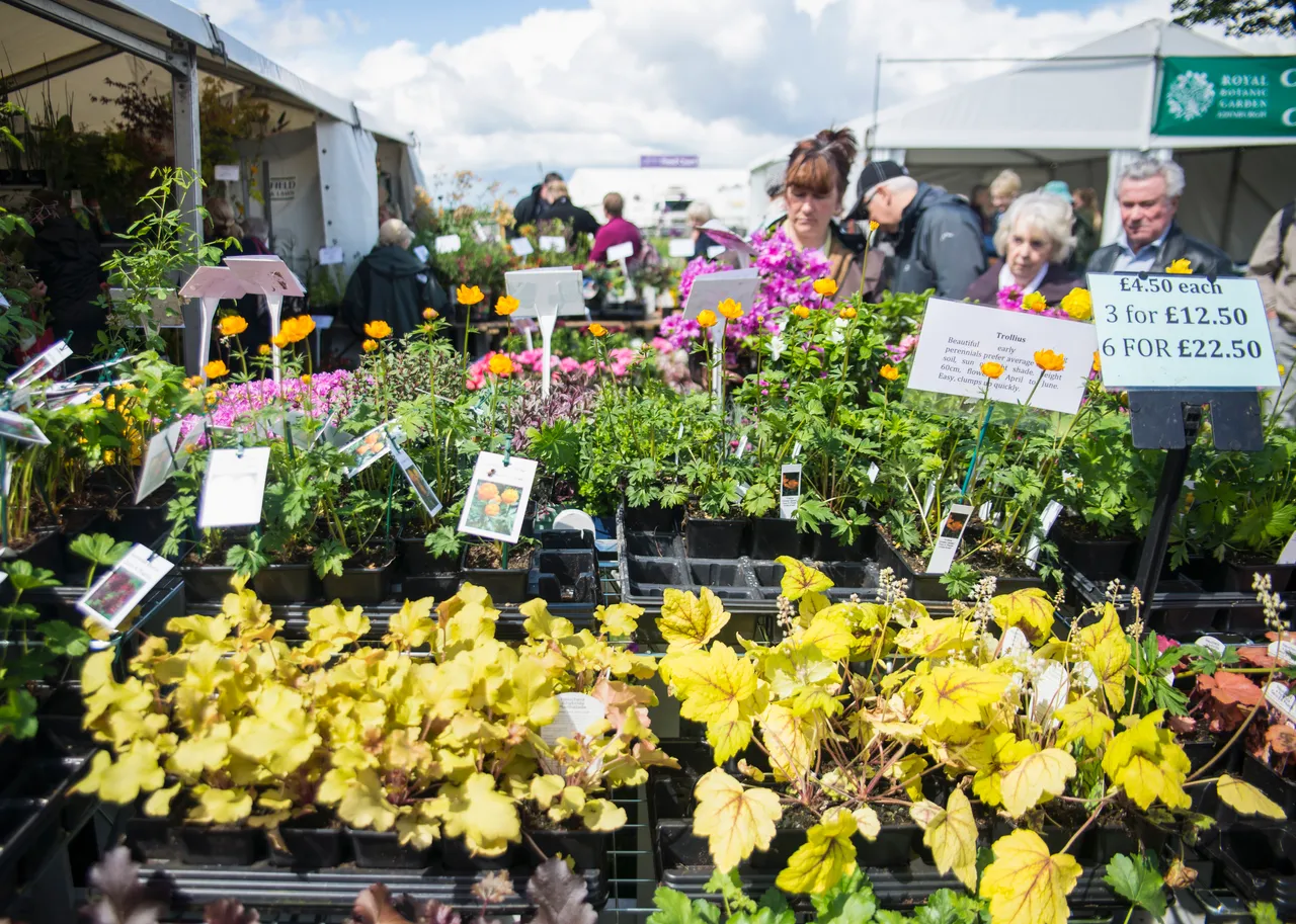 Gardening Scotland