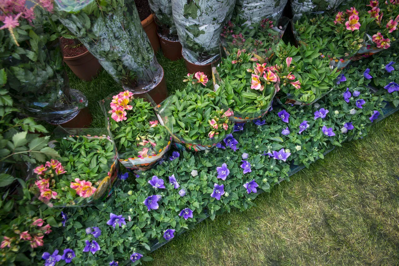 Gardening Scotland
